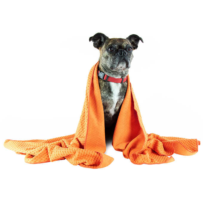 Waterless Dog Shampoo with Towel